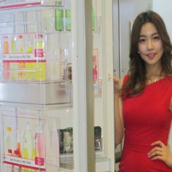 Setelah Lampu, AC dan Kulkas akan Diberi Label Hemat Energi