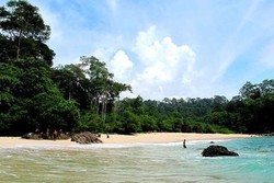 Banyuwangi Bikin Segmentasi Pasar Wisata Agar Lebih Fokus