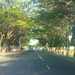 Oh...Hijau dan Rindangnya Bantaeng