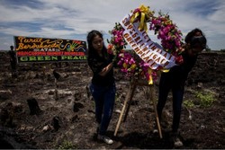 Greenpeace Pasang Bunga Duka Cita Atas Hancurnya Lahan Gambut di Riau
