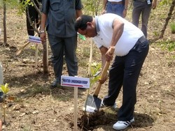 Menteri Lingkungan Resmikan Pusat Konservasi Mangrove di Cilacap