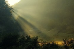 Hoia Baciu, Konon Hutan Paling Berhantu di Eropa