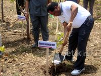 Menteri Lingkungan Hidup Tanam Mangrove di Cilacap
