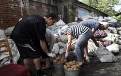 PBB Mulai Distribusikan Bantuan Makanan untuk Masyarakat Ukraina
