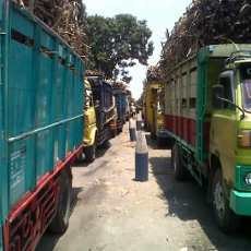 Jatah Bongkar Turun, Ratusan Sopir Tebu Protes PG Gempol Krep