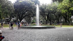 Lagi-lagi ABG Mesum Tertangkap Petugas di Taman Cattleya Tomang