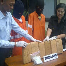 Sopir Rent Car Ditangkap Simpan Ganja 6 Kg