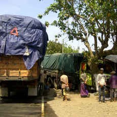Hindari Kecelakaan, Truk Tronton Tabrak Pohon & Warung