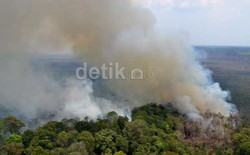 BNPB: 99 Persen Kebakaran Hutan Karena Sengaja Dibakar