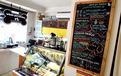 Restoran di Filipina Ini Sajikan Makanan Sehat untuk Anjing dan Pemiliknya