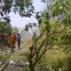 Lahan Tebu Seluas 10,5 Hektar Terbakar Membuat Panik Warga