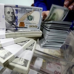 Ada Asuransi Valas, Jangan Lagi Ada BUMN yang Rugi Karena Kurs