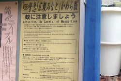 Hadapi Serangan DBD, Begini Suasana Perang Lawan Nyamuk di Tokyo