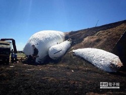 Kasihan! Patung Kelinci Raksasa di Taiwan Terbakar
