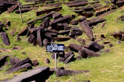 Ajaib, Ada Batu Berbunyi di Gunung Padang