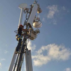 Lagi, Polisi Tangkap Pencuri Perangkat BTS XL