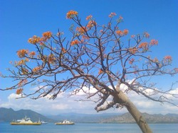 Sumbawa, Surga Hijau di Timur Indonesia