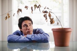 Empat Faktor Inilah yang Tentukan Hebat Tidaknya Performa Mr P