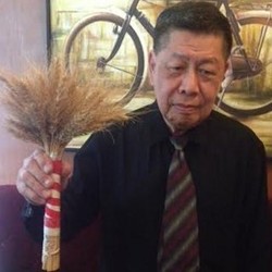 Gandum Hasil Radiasi Bisa Tumbuh di Indonesia