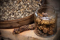 Kopi Luwak, Halal atau Haram?