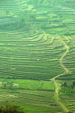 Begini Pemandangan Menawan dari Gunung Api Purba di Gunungkidul