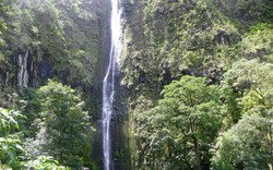 Mitos Air Terjun Sedudo di Nganjuk yang Bisa Bikin Awet Muda