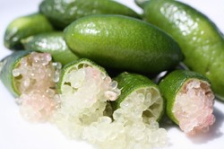 Finger Lime, Jeruk dengan Bulir Cantik Mirip Kaviar