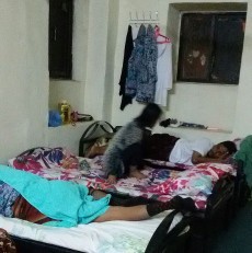 Menag Lacak Modus dan Pengirim Jamaah Haji Non Kuota