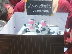 Lamar Kekasih, Aden Bajaj Bawakan Bolu Sapi