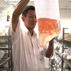Pria Singapura Ini Kaya dari Jualan Ikan Hias