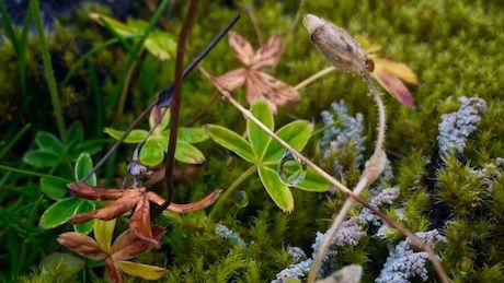 Foto Memukau dengan iPhone 6 Plus