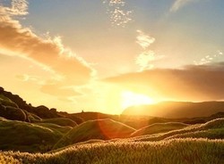 Beda iPhone 5S & iPhone 6 Plus di Tangan Fotografer