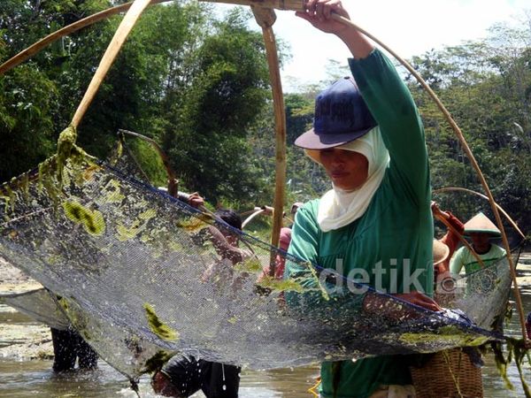 Tradisi Gebyuk Iwak Saat Musim Kemarau