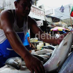 Ikan RI Banyak Dicuri, Pemerintah Mengeluh Kurang Kapal dan Pengawas