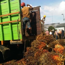Tak Bisa Bayar Bunga Utang Rp 1 Triliun, Bakrie Sumatera Minta Nego