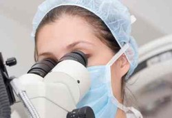 Ini Alasan Digunakannya Ekstrak Darah Kepiting Saat Uji Coba Obat