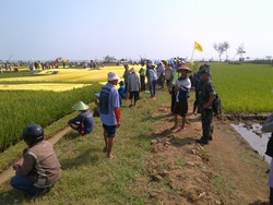 Demo Tolak PLTU, Ribuan Petani Batang Kibarkan Bendera Kuning