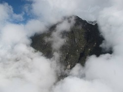 Suka Duka Membawa Turis AS & Eropa ke Puncak Carstensz