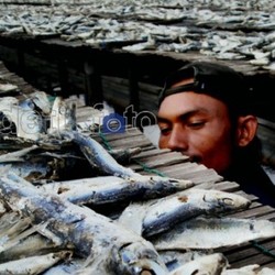 Indonesia Rutin Impor Ikan Asin, Ini Datanya
