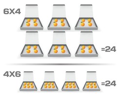 Heboh 6x4 dan 4x6 di Media Sosial, Bagaimana Penjelasannya?
