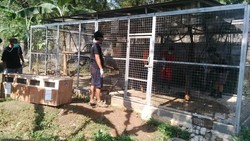 Justin Bieber Hingga Michael Jackson akan Dibebaskan di Hutan Malam Ini