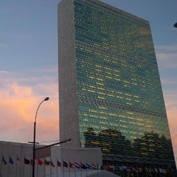 Produsen-produsen Raksasa Kelapa Sawit Berikrar Bebas Deforestasi