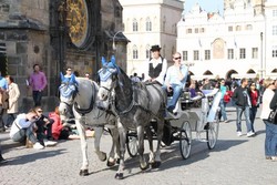 Keliling Eropa 28 Hari Tanpa Travel Agent, Bisa!