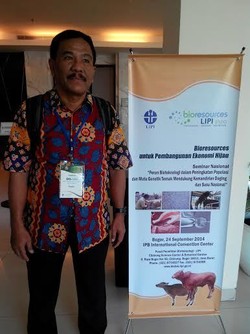 29 Tahun Teliti Lebah untuk Ketahanan Pangan, Sih Kahono Terus Belajar