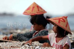 RI Juga Impor Ikan Teri Asin dari Thailand