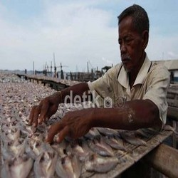 Eksportir Tak Percaya RI Impor Ikan Asin dari Singapura