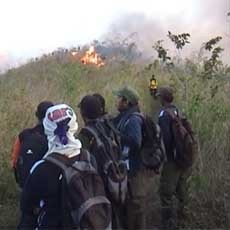 Hutan Lindung Tahura Raden Soerjo Terbakar