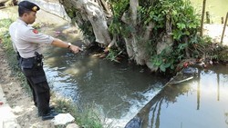 Elin Janda Muda Pembuang Bayi di Irigasi: Mau Saya Simpan tapi Tercebur