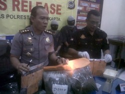 Edarkan Ganja 2,7 Kg, Seorang Kakek di Yogya Ditangkap