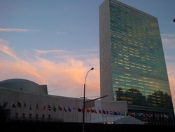 Pemerintah Awasi 4 Perusahaan Kelapa Sawit yang Berikrar Peduli Lingkungan